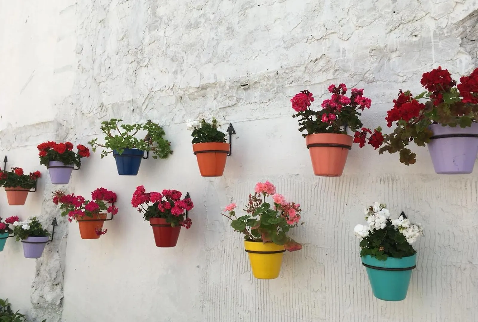 Casa Tragabalas Competa Bed & Breakfast